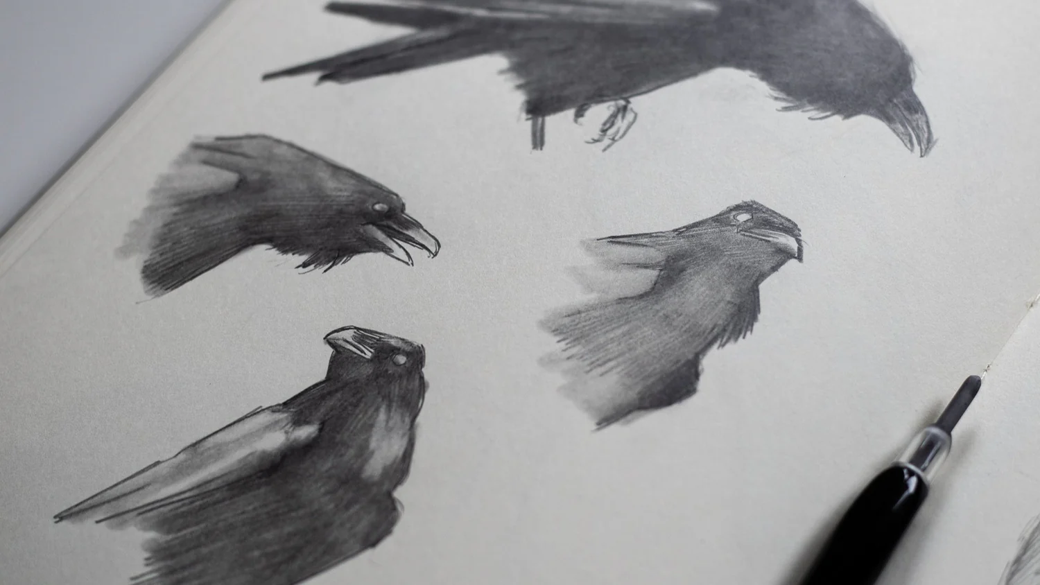 Pencil Sketch Example 3